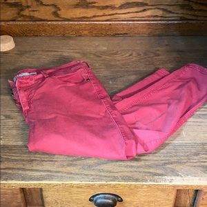 Torrid Jeggings Capri